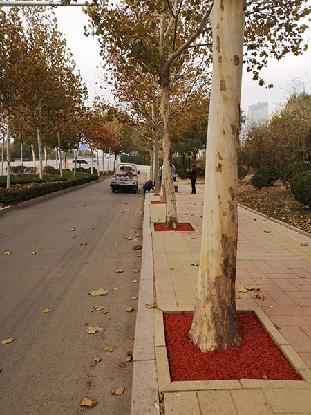 樹穴覆蓋物粘結(jié)劑 (5)