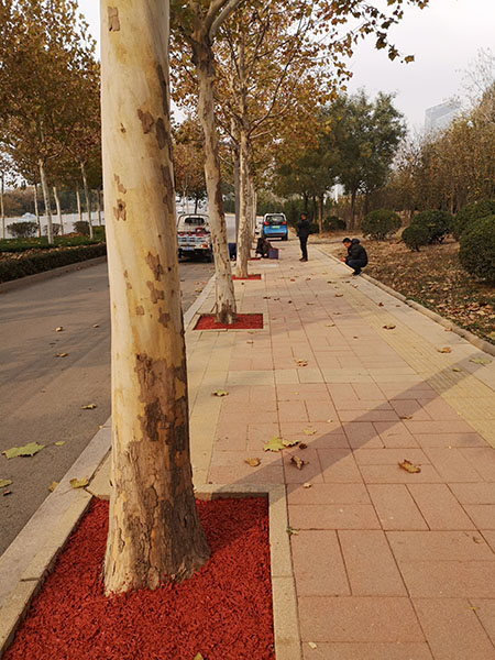 樹穴覆蓋物粘結(jié)劑 (1)