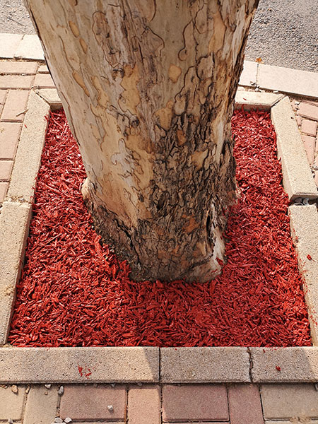 樹穴覆蓋物粘結(jié)劑 (3)