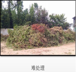 1536552081104618.jpg 生態服務28.jpg