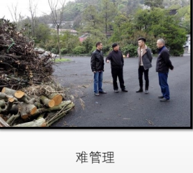 1536552084641259.jpg 生態服務29.jpg